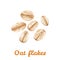 Oat flakes isolated on white background. Vector illustration of oatmeal, muesli