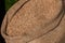 Oat grains in burlap sack, close-up. Barley beans bag