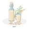 Oat milk in jug and glass. Plant milk, vegan milk concept. Vector illustration isolated on white background. Alternative