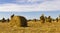 Oat stakes and hay roll