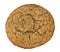 Oatmeal Cookie