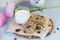 Oatmeal cookies with dried fruits, seeds, cranberries. On wooden gray background with a glass of fresh warm milk. Cozy still life