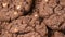 Oatmeal cookies rotating close-up