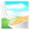 Oatmeal Natural Product Promotional Banner Vector Illustration