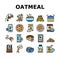 Oatmeal Nutrition Collection Icons Set Vector