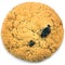 Oatmeal raisin cookie macro closeup isolated