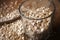 Oatmeal Raw Pile Traditional Bakery Oat Cereal Countryside Oatmeal Organic Ancient Homemade