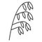 Oatmeal spikelet, grain icon vector. Rye, wheat, oat plant in outline