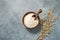 Oatmeal in a wooden bowl with a scoop on a blue background with branches of dry oats. Organic and healthy product for home baking