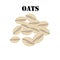 Oats cereal healthy organic nutrition vector illustration