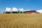 Oats Field and Farm Horizontal