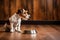 An obedient dog on the wooden floor near a bowl of food and waits for permission. Charming jack russel terrier