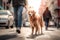 Obedient golden retriever pet dog with leash walking in busy city street with owner during summer. Created with