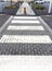 An obedient guide dog at a pedestrian crossing