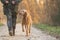 Obedient old Magyar Vizsla 13 years old. female dog handler is walking with her odedient old dog on the road in a forest in autumn