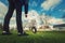 Obedient purebred border collie dog playing games outdoors in the park as master is ready to throw him a stick. Adorable, well