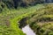 Obedska pond Special nature reserve along Sava river in Serbia