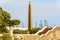 Obelisk topped by a rooster, symbol of the French nation in Pan