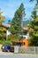 OBERAMMERGAU, GERMANY - OKTOBER 09, 2018: Pine tree with branche on one side near a house in a village in Germany