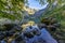 Obersee Landscape, Bavarian Scenery