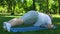 Obese man doing plank in park, weight loss program, strong will, motivation