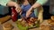 Obese teenager girl carving greasy chicken covered with ketchup and mayonnaise