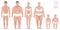 Obesity, family medicine, vector illustration