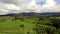 The object of the UNESCO world heritage rice terraces Jatiluwih. Tourist destination-Bali. Aerial view of the Jatiluwih rice