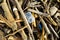 Objects on the shore of the ocean thrown out by the surf