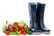 Objects on white background - rubber boots and a bunch