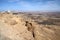 Observation platform above the crater Ramon