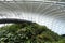 The observation platforms within the main tropical mountain in Cloud Forest
