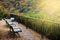 observation seats for autumn color, Arashiyama