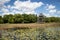 Observation tower at Crews Lake Wilderness Park