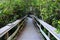 Observation Trail in the Everglades