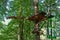 Obstacle course in the rope park at a height in the foliage of the trees. Outdoor activities. Adventure among the foliage of trees