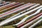 Obstacles barriers in row at an equestrian centre