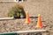 Obstacles and buoys in the sand