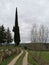 occitanie landscape of cypress and stone walls bordering a scrubland path