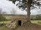 occitanie landscape of a typical stone hut, called capitelle, under its oak tree