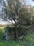 occitanie small bench in front of a stone wall