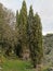 occitanie view of a narrow path lined with cypress trees