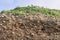 Occupation earth - layers of ground with fragments of ancient pottery and shells under the sod layer