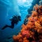 Ocean adventure Scuba diver immersed in the vibrant coral reef