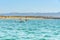 Ocean bay and flock of pelicans, green hills and clear blue sky background