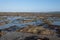 Ocean and beach with green seagrass at sunset