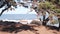 Ocean beach and sea waves, California coast. Beachfront waterfront empty bench.