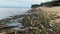 Ocean Beach After Storm. Sea Coast Covered With Plastic Waste, Trash, Garbage, Solid Rubbish And Marine Debris.