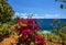 Ocean beach view in Madeira, Funchal, Portugal