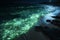 Ocean Bioluminescence. A Magical Glow in the Dark